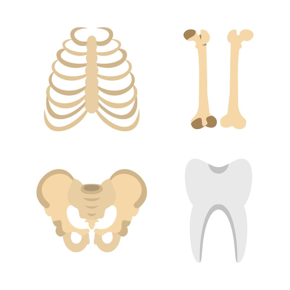 Human bones icon set, flat style vector