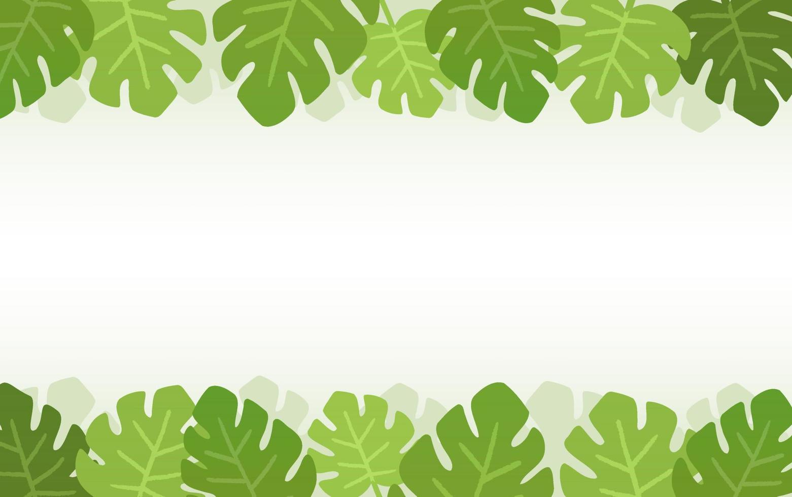 monstera leaves abstract background, green background vector