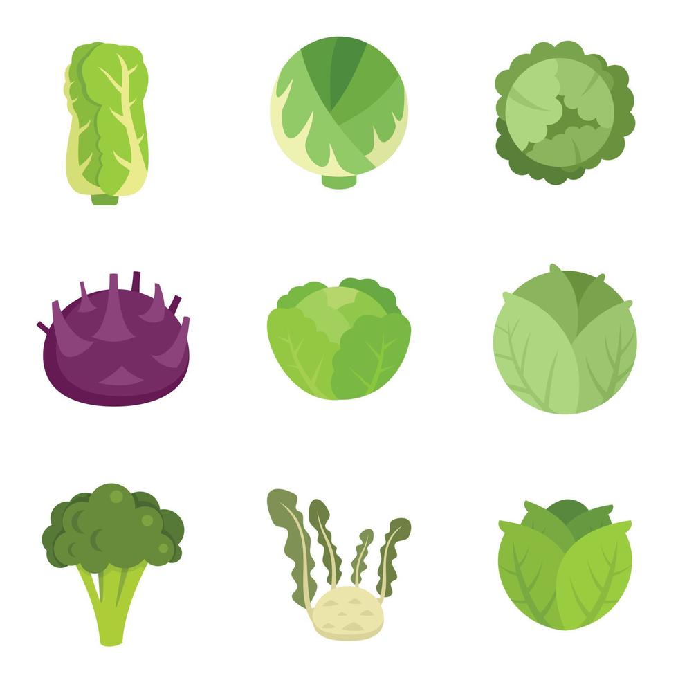 Cabbage icons set flat vector isolated