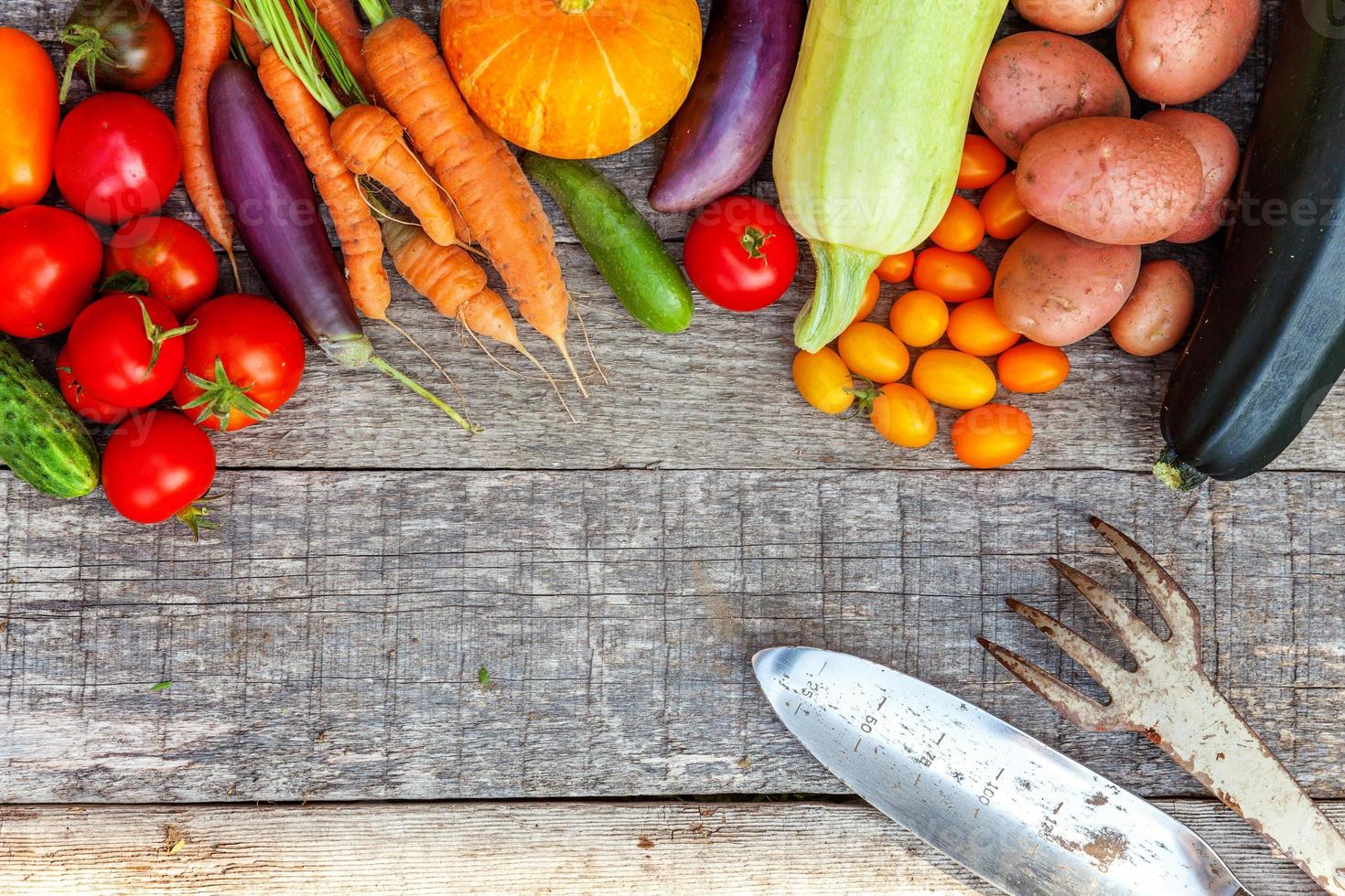 Assortment different fresh organic vegetables and gardening tools on country style wooden background. Healthy food vegan vegetarian eating dieting concept. Local garden produce clean food. photo