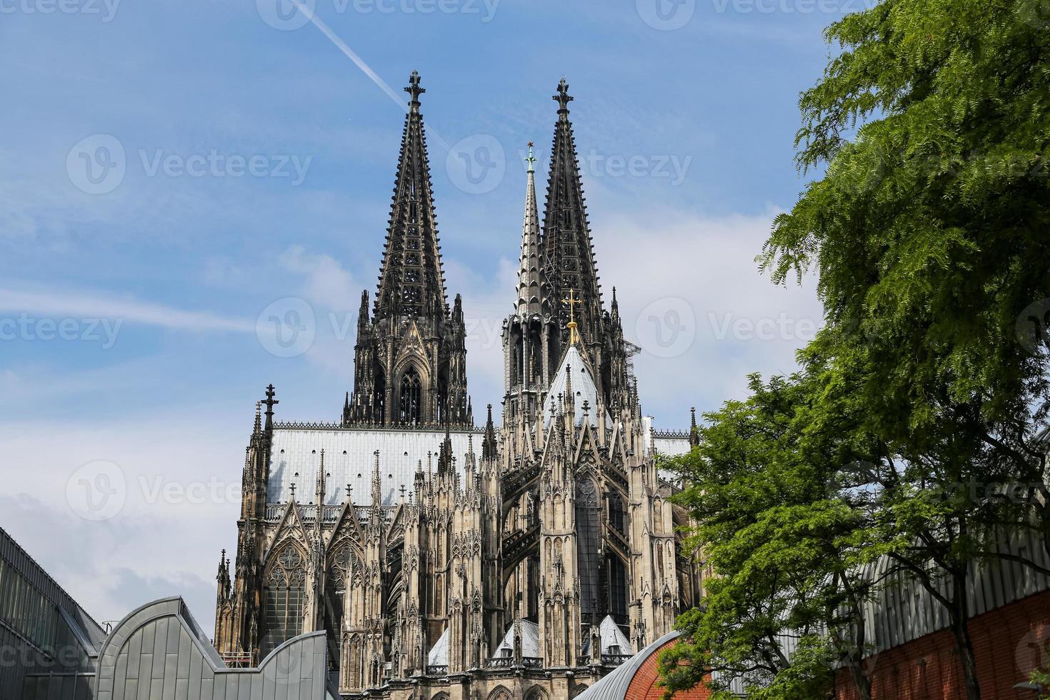 Cologne Cathedral in Cologne, Germany photo