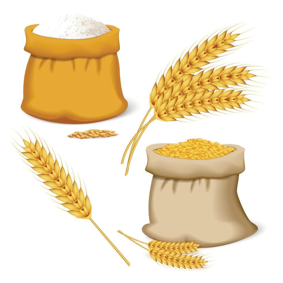 Barley wheat icon set, realistic style vector