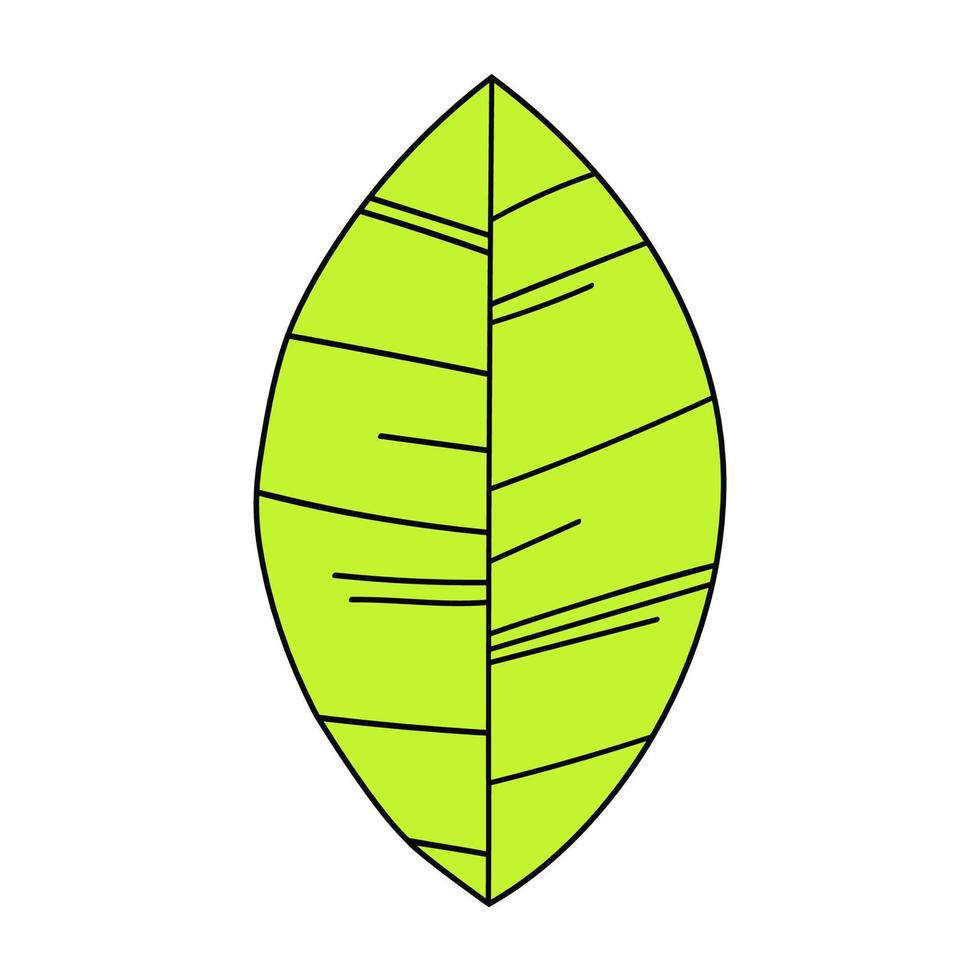 Abstract green leaf in the style of Scandinavian minimalism. vector