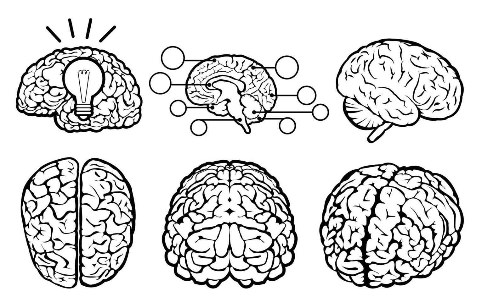 conjunto de cerebro humano vector
