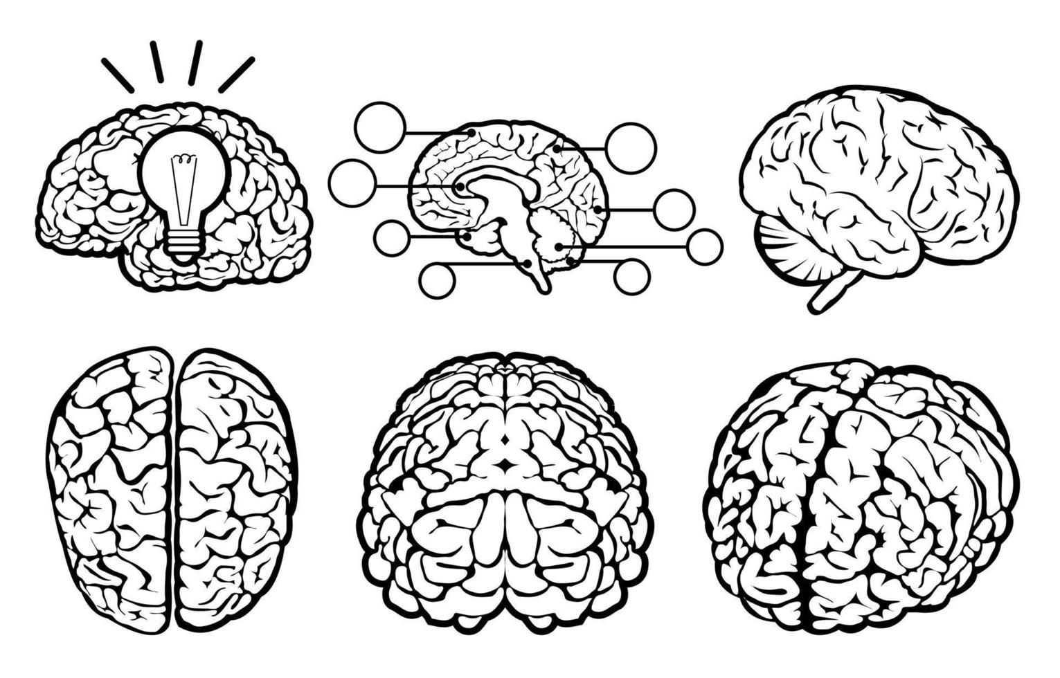 Human Brain Set vector