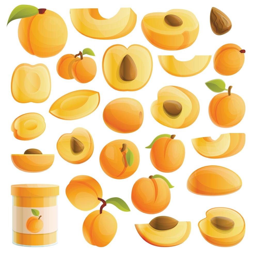 Apricot icons set, cartoon style vector