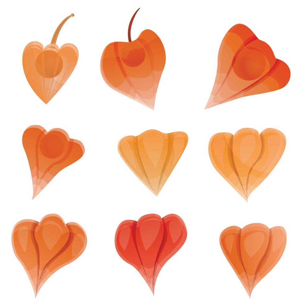 Physalis icons set, cartoon style vector