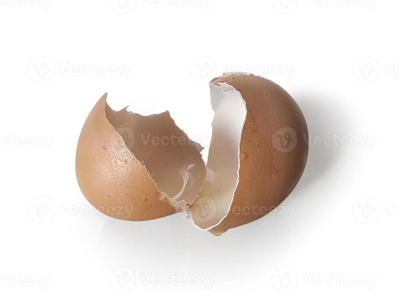 Eggs shell isolated on a white background photo