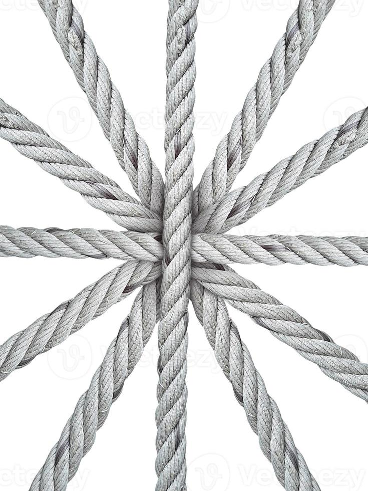 Old Ropes isolated on a white background photo