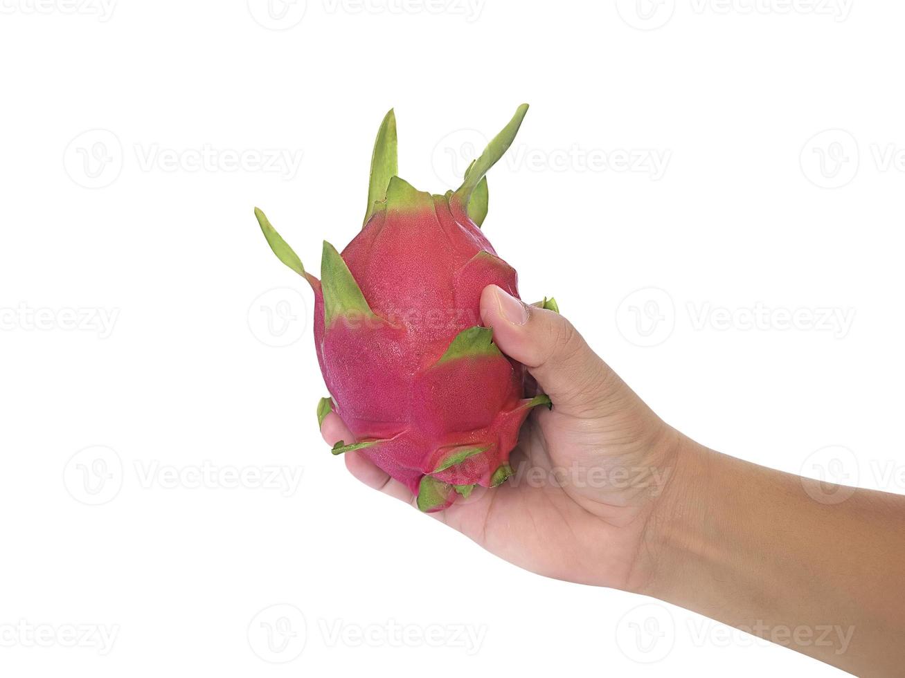 Man holding dragon fruit isolated on white background photo