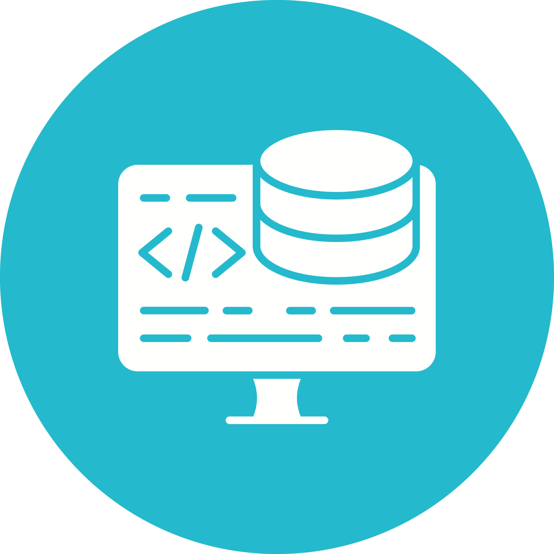 Backend Development Glyph Circle Background Icon 9046868 Vector Art at ...