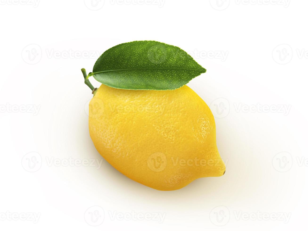 Fresh lemon fruit on white background,Juicy lemon. photo