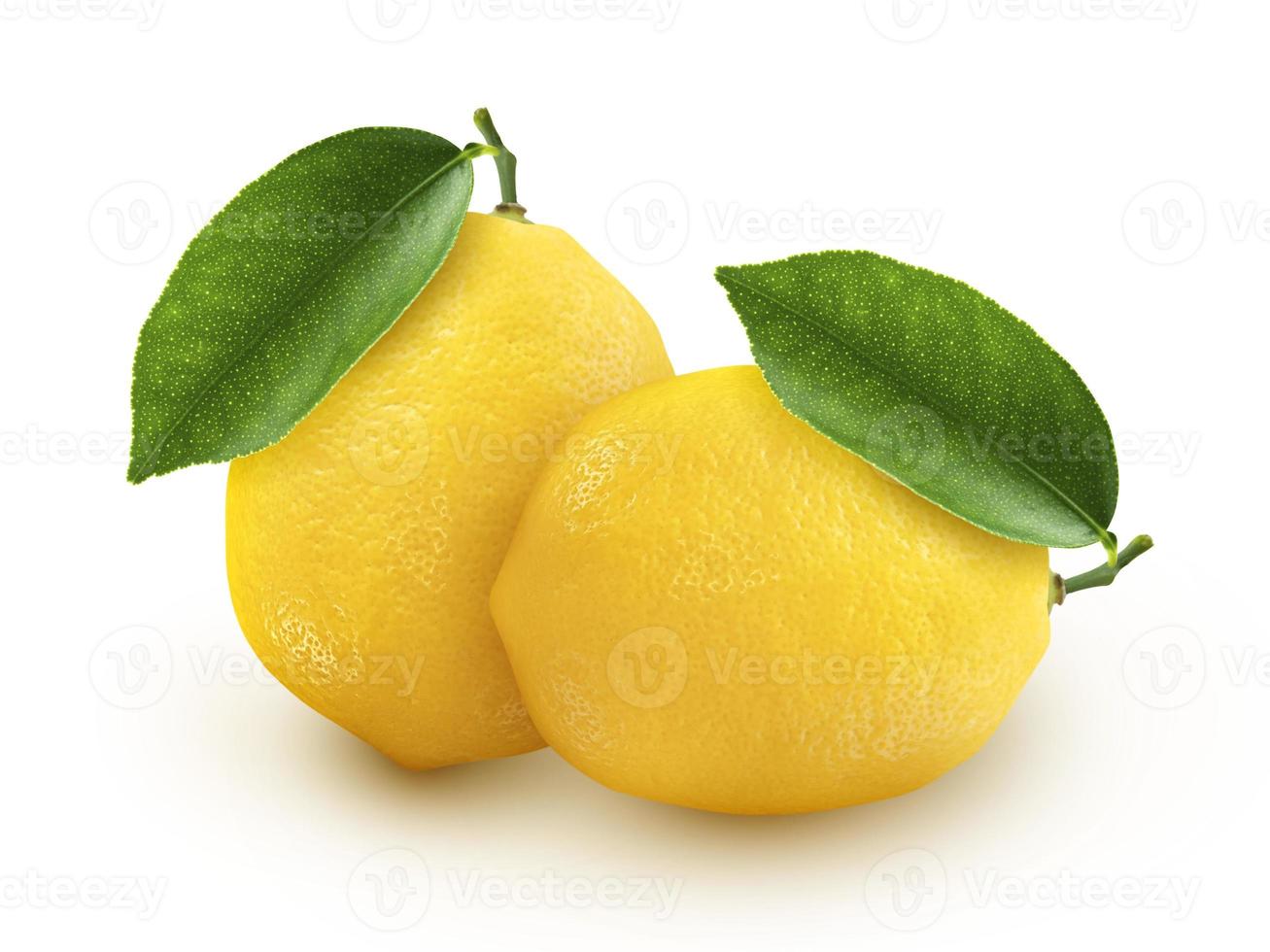 Fresh lemon fruit on white background,Juicy lemon. photo