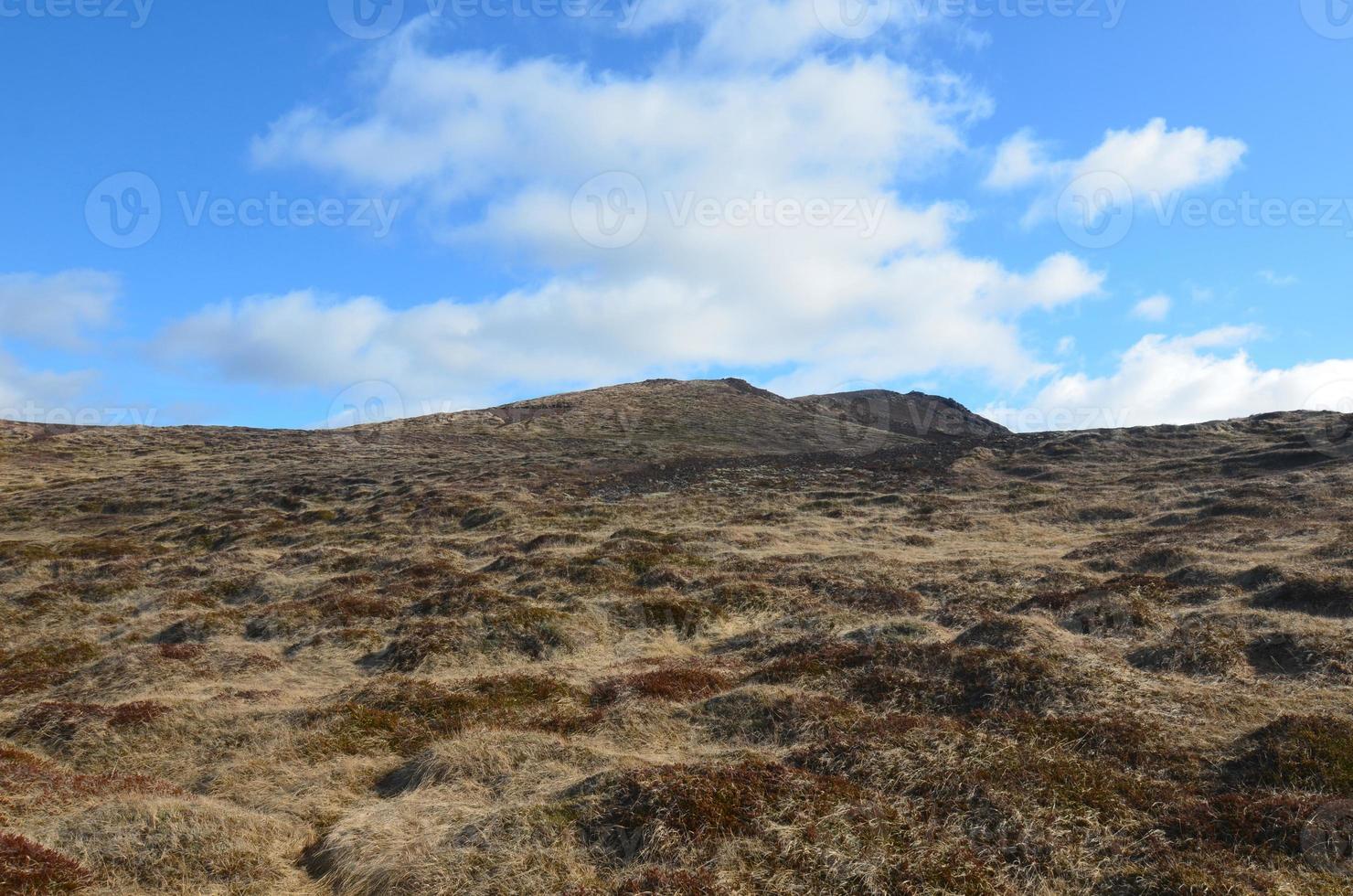 Scenic Grasslands and Fields in Rural Iceland photo