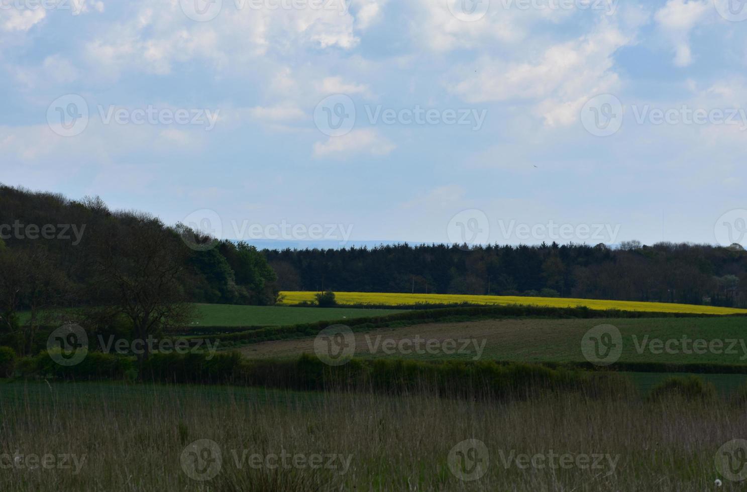tierras de cultivo inglesas con campos de cultivos en primavera 9092363