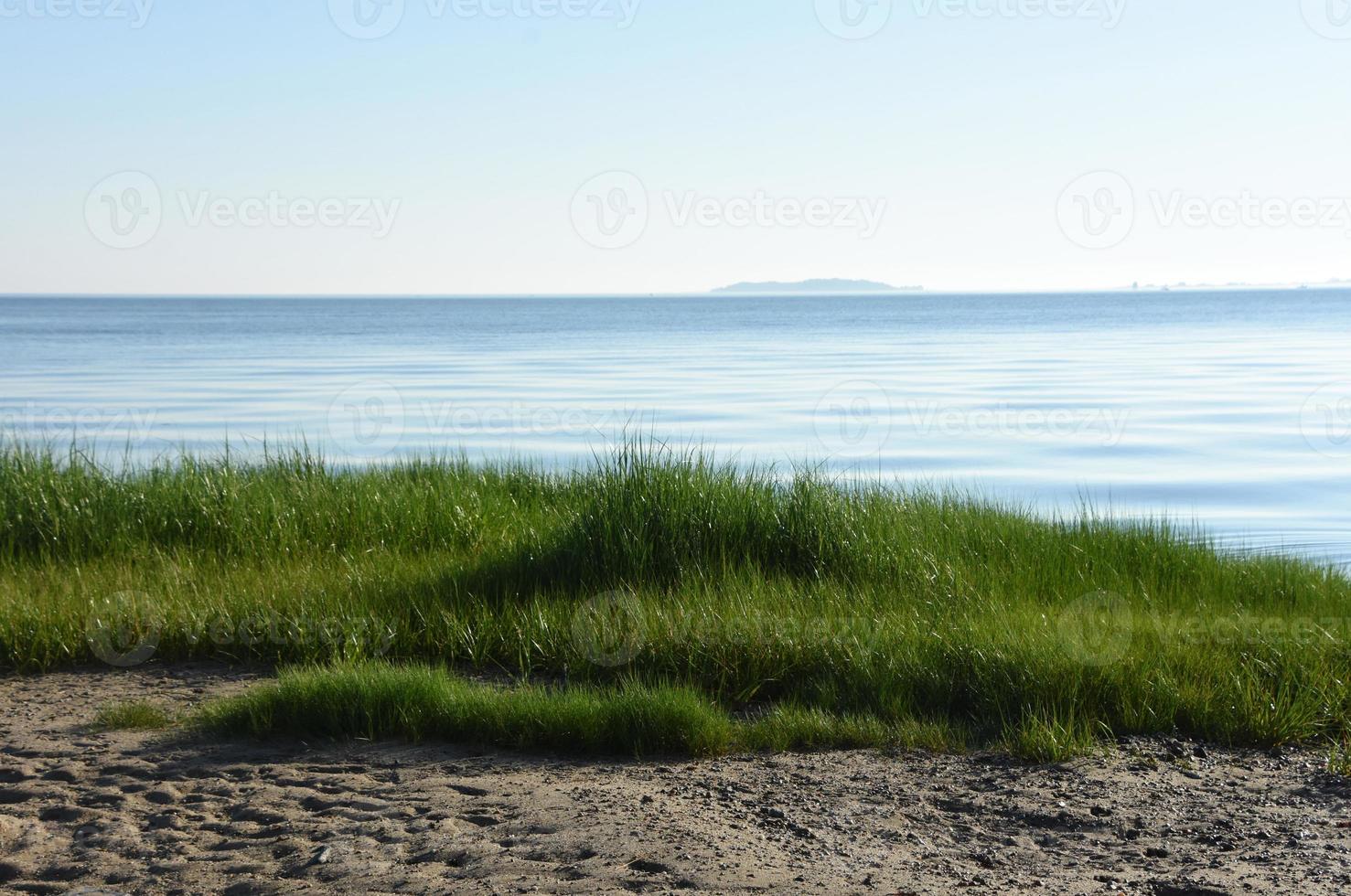 Scenic Seascape of Bay with Green Marsh Grass photo