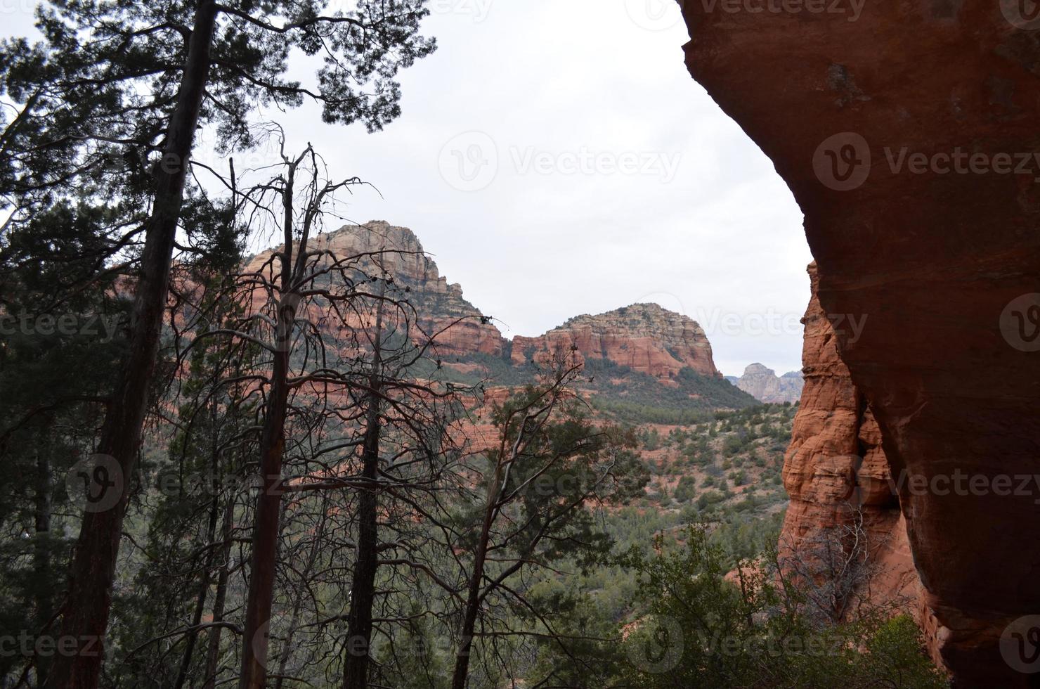 Trees Silhouetted Against Red Rock and Skies photo