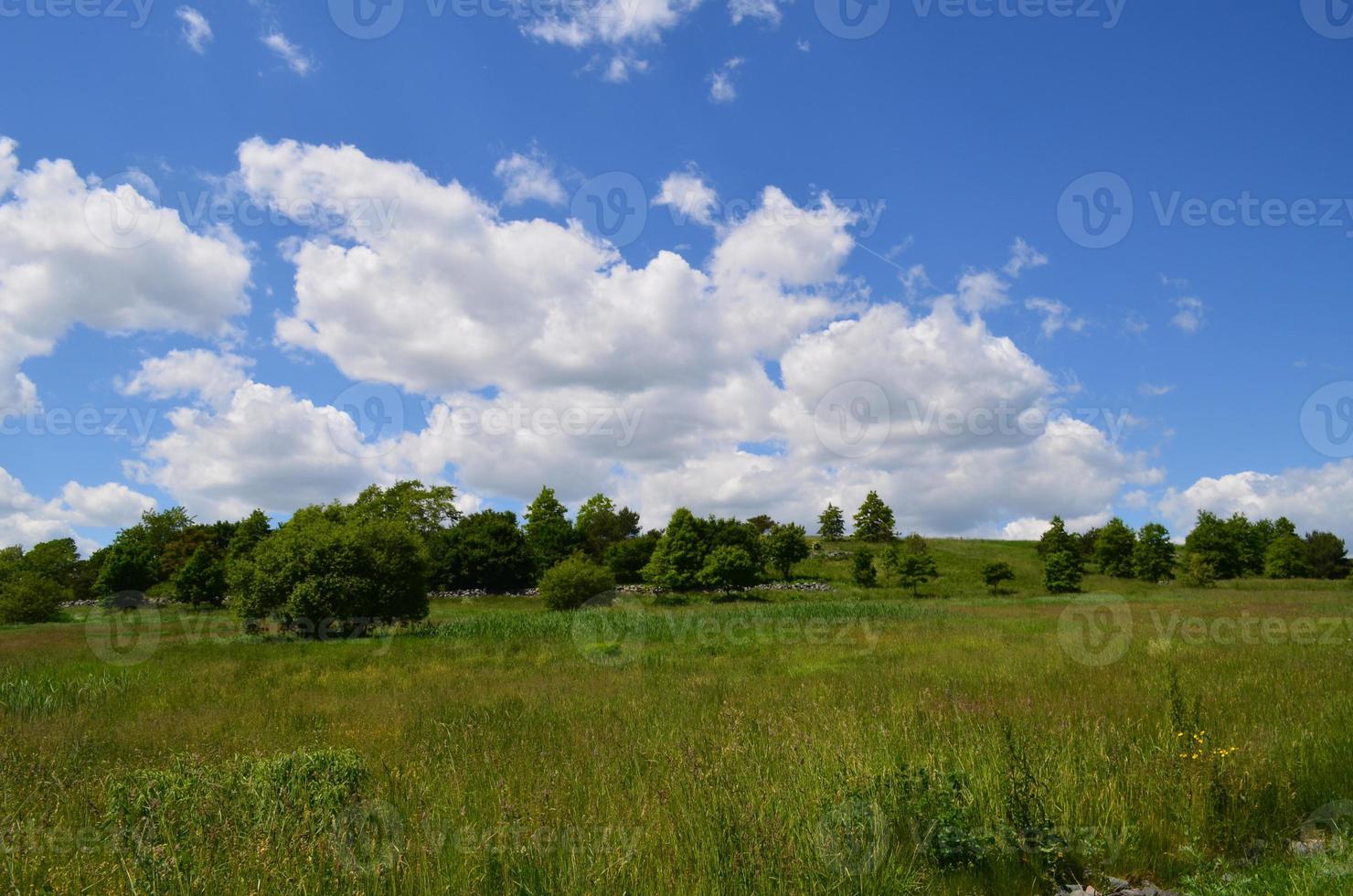 Pretty Fluffy White Clouds Over Spectacle Island photo