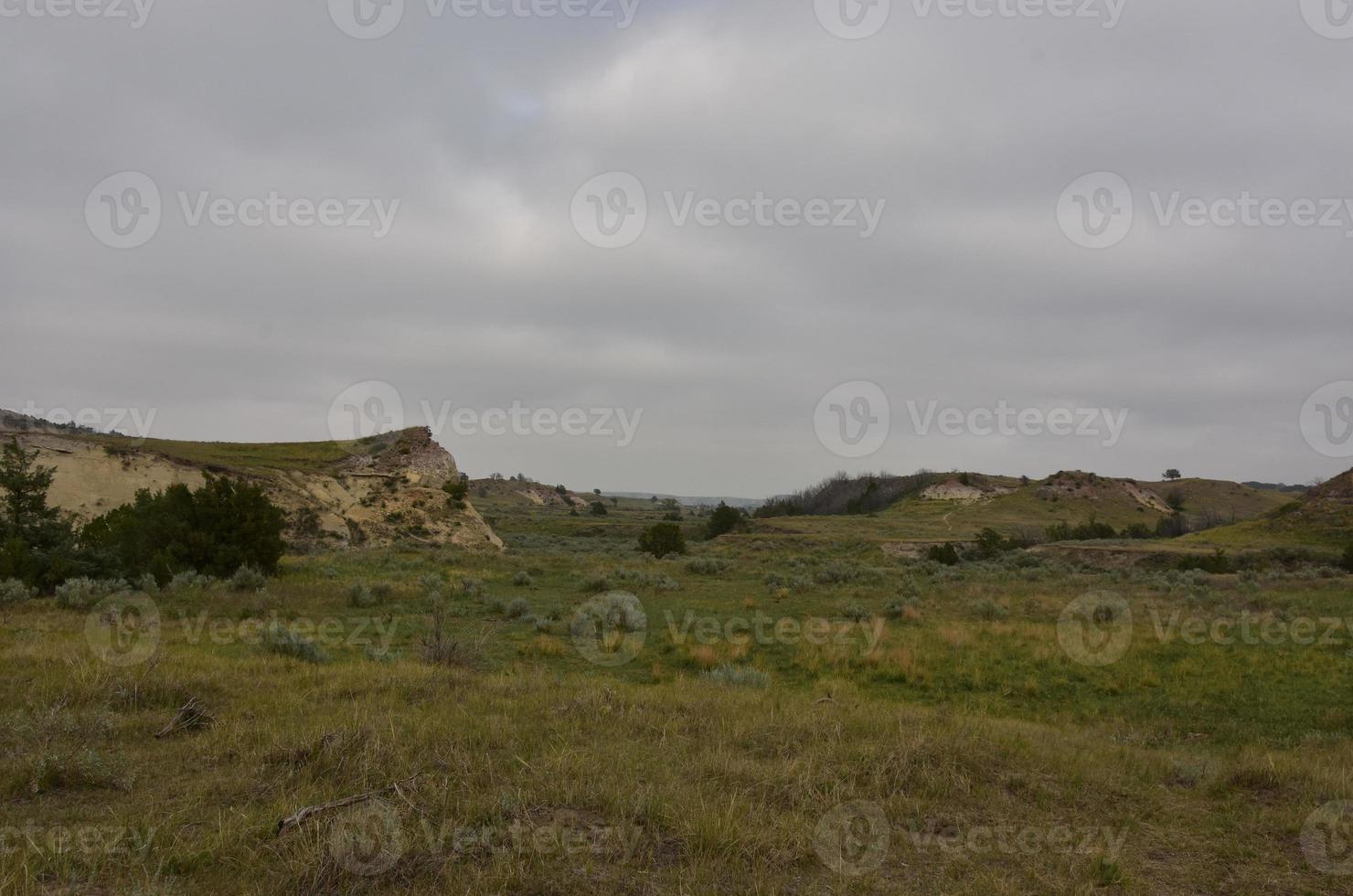 Rural Environmental Landscape in the Midwest Wilderness photo