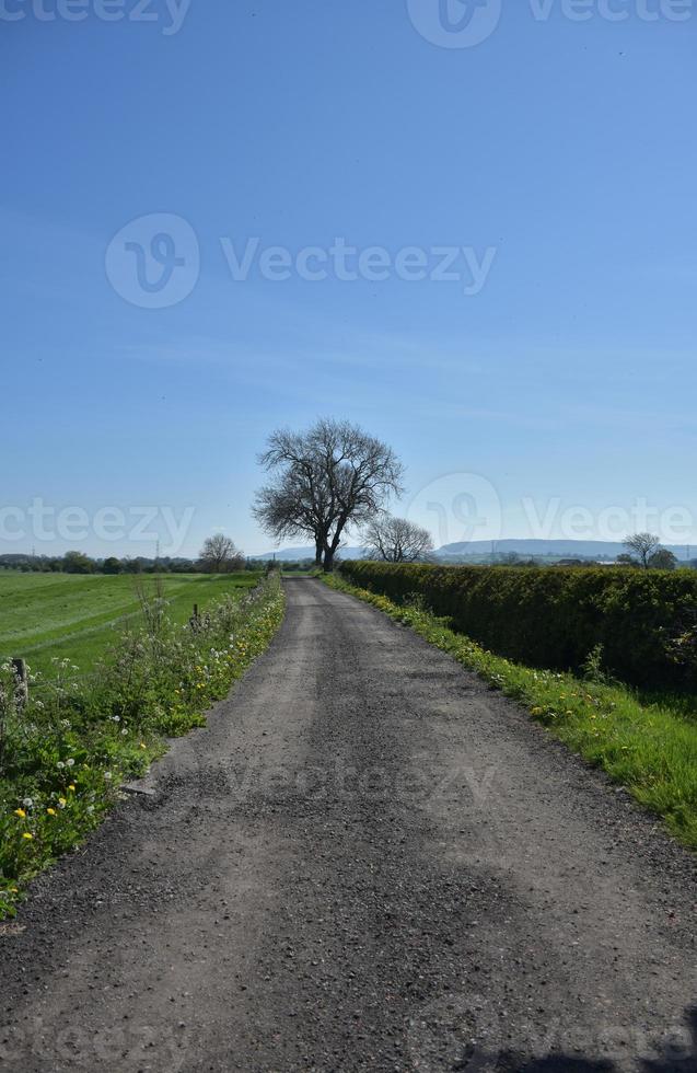 Packed Dirt Roadway on Farmland in Northern England photo
