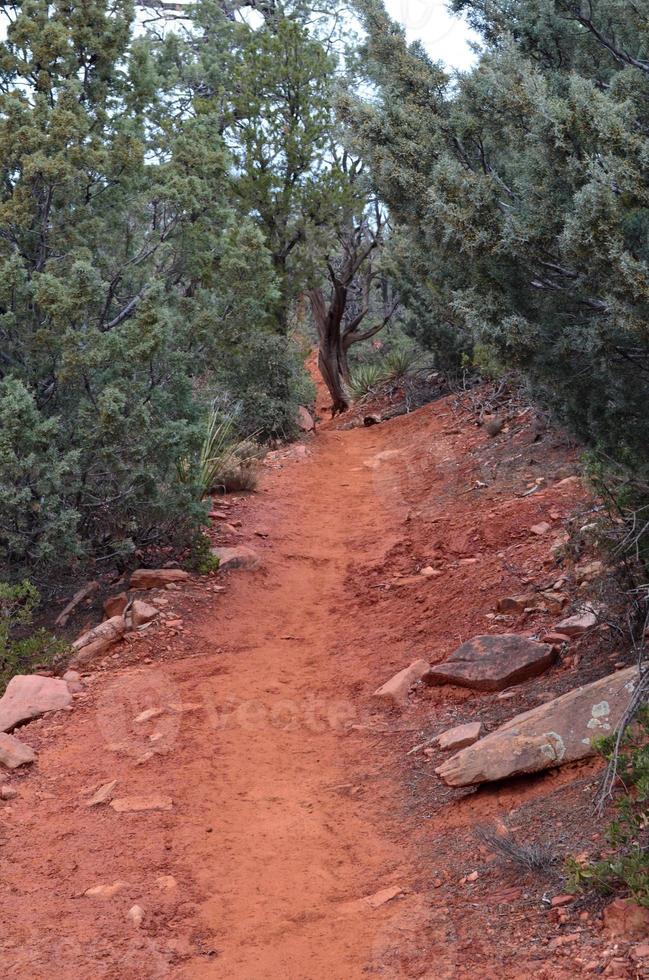 Packed Dirt Hiking Trail through Wooded Area photo
