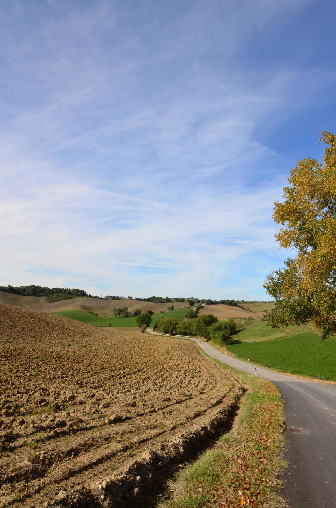 Plowed Field and Winding Road in Tuscany 9093281 Stock Photo at Vecteezy