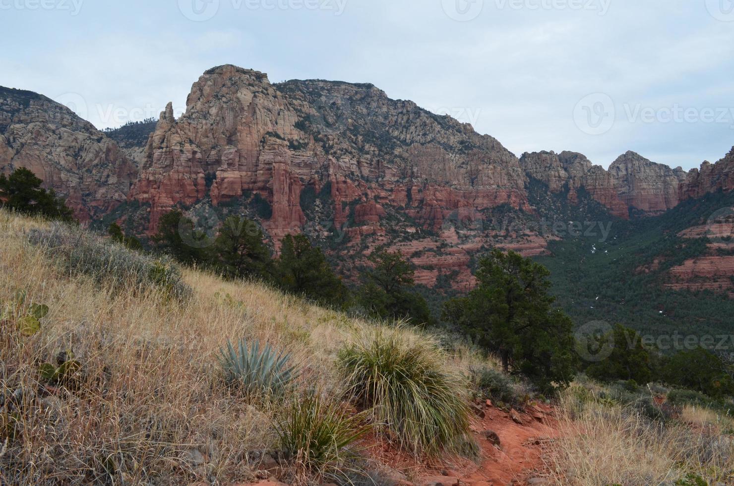 Rugged Hiking Path into Red Rock Formations photo