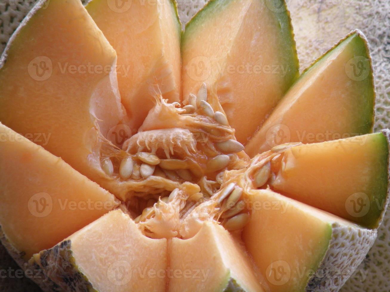 Cantaloupe with Seeds photo