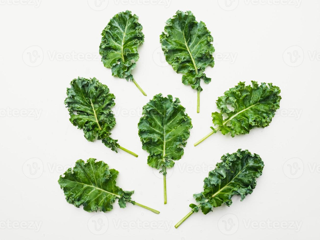 Top view of kale leaves on white background. photo