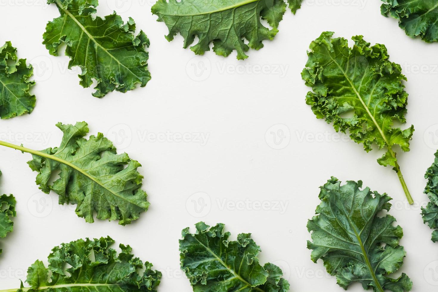 Top view of kale leaves on white background. photo