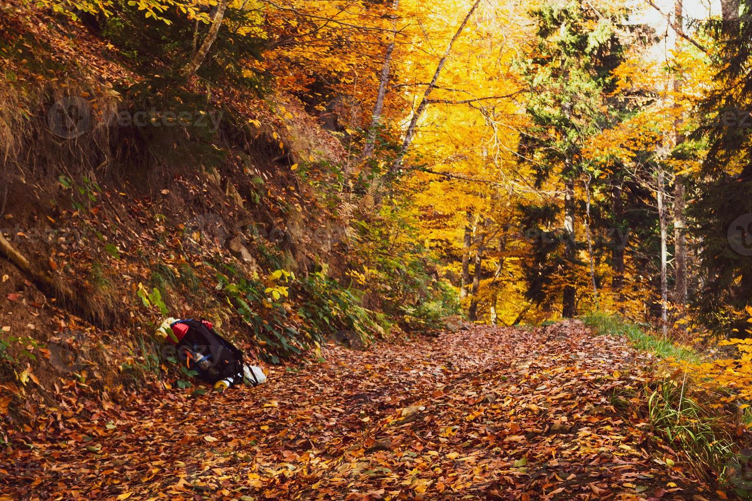 Hikers backpack on hiking trail stand alone with no hiker outdoors photo