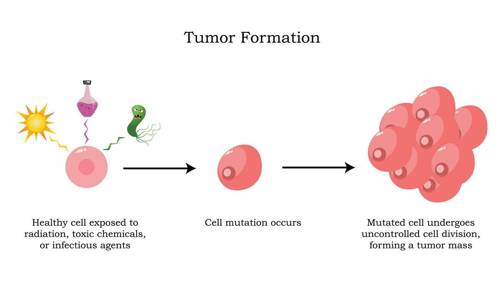 mutation of cells into tumors vector
