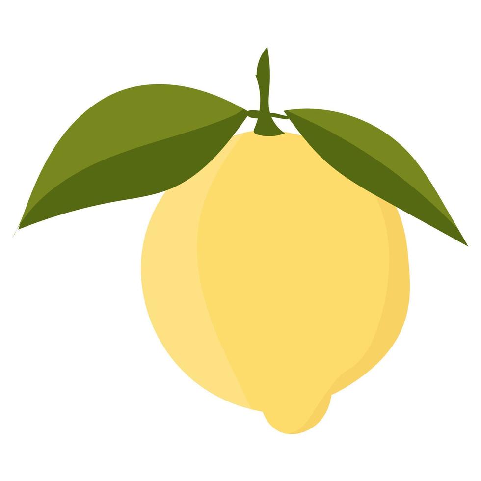 Lemon with leaves minimalism. Sour fresh lemon fruit. vector