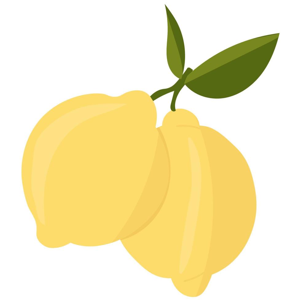 Lemon with leaves minimalism. Sour fresh lemon fruit vector