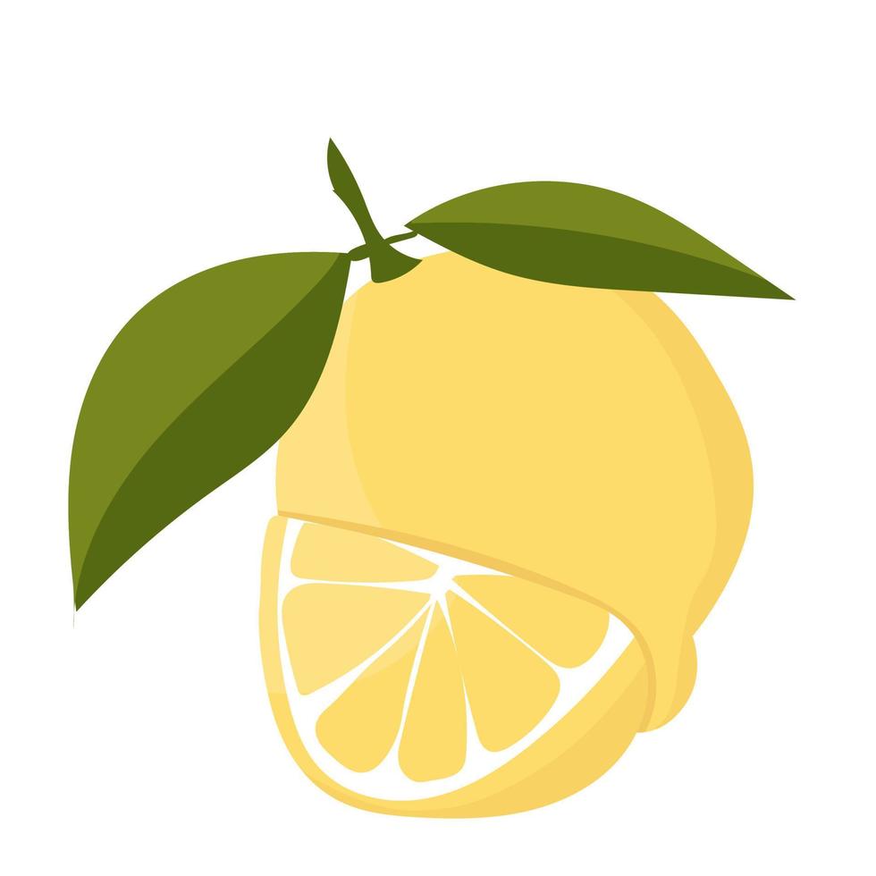 Lemon with leaves minimalism. Sour fresh lemon fruit. 9095492 Vector ...