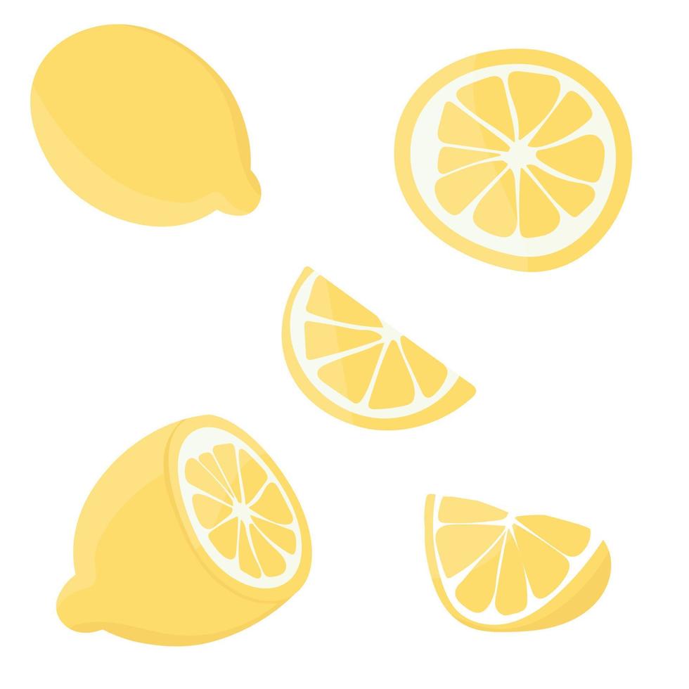 Set with lemons. Citrus cutting into slices, slices, circles. Ripe fresh lemons on a tree branch. vector