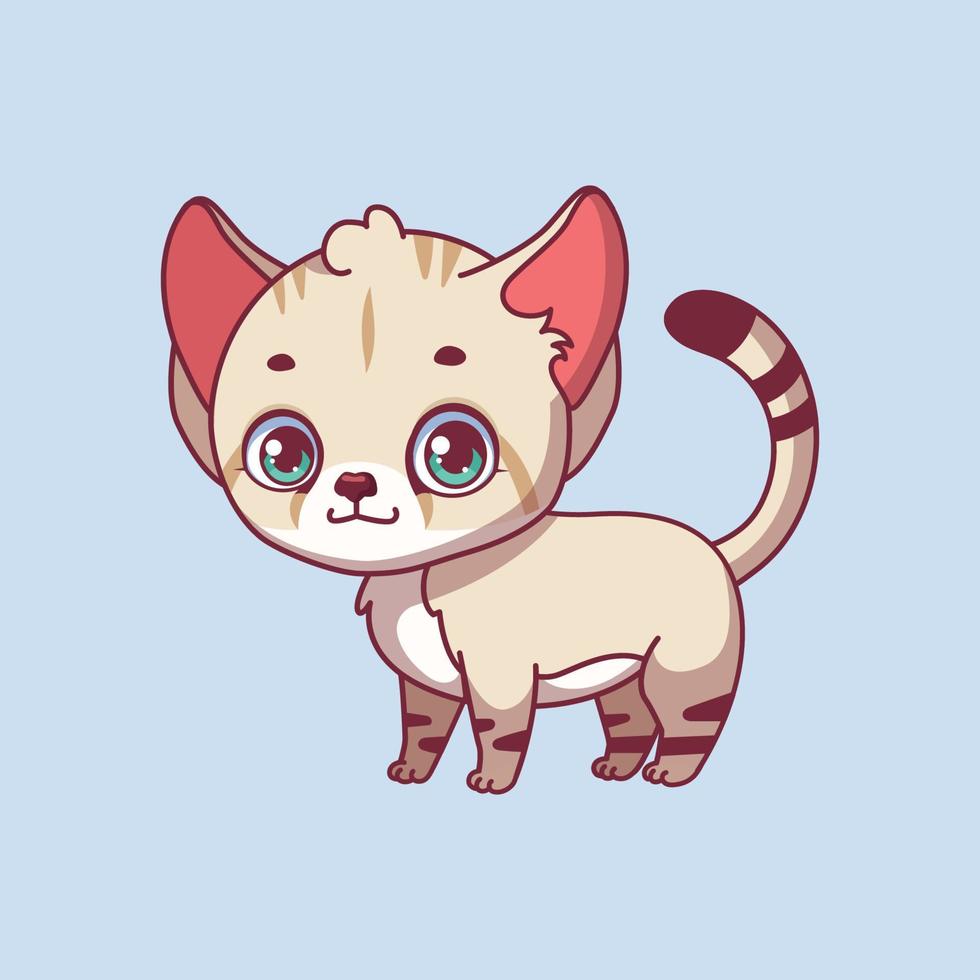 Illustration of a cartoon sand cat on colorful background vector