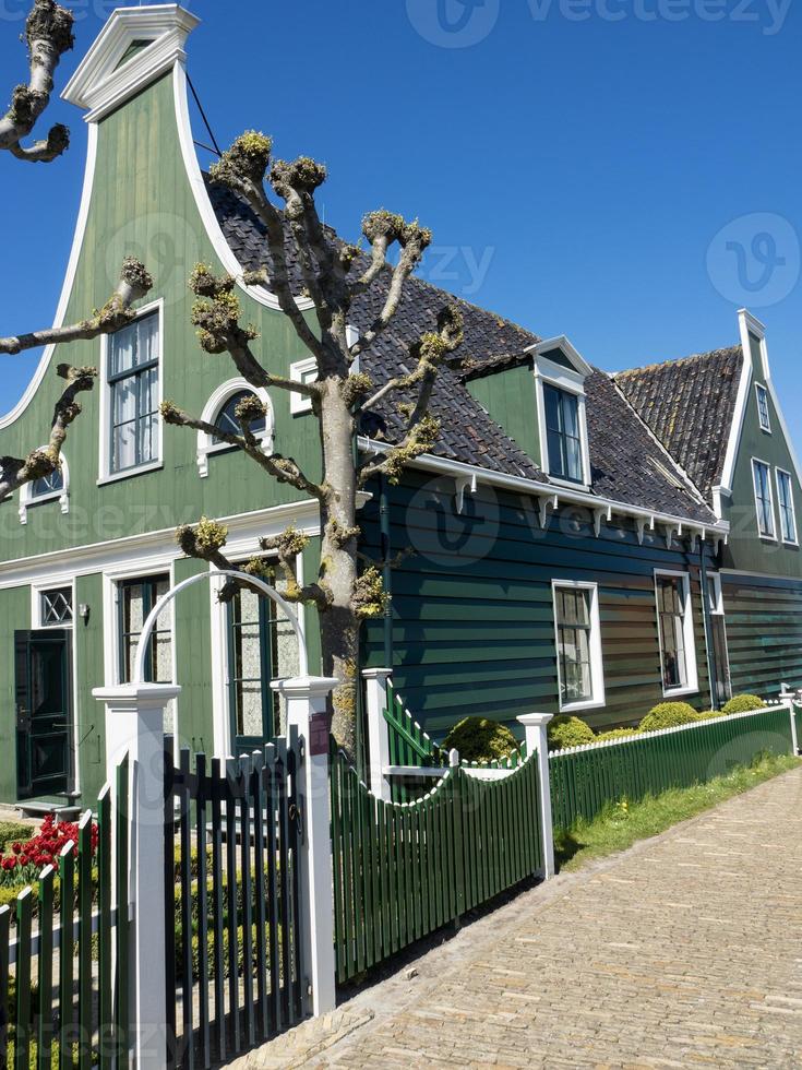 Enkhuizen in the netherlands photo