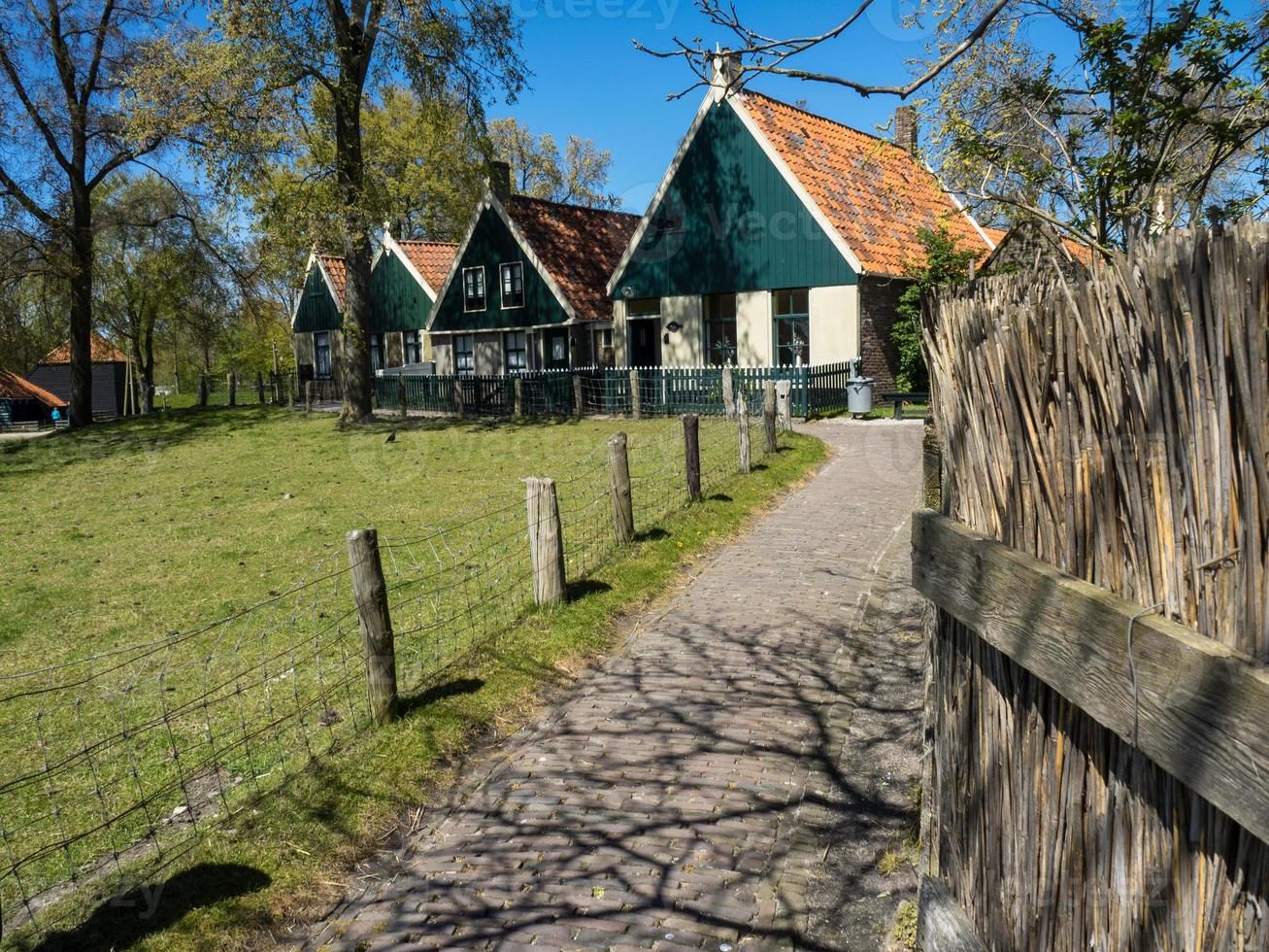 the dutch city of Enkhuizen photo