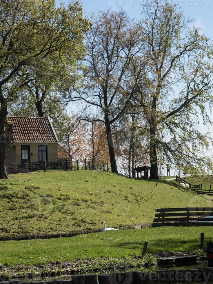 la ciudad holandesa de enkhuizen foto