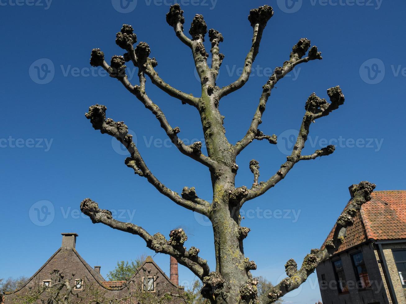 Enkhuizen in the netherlands photo
