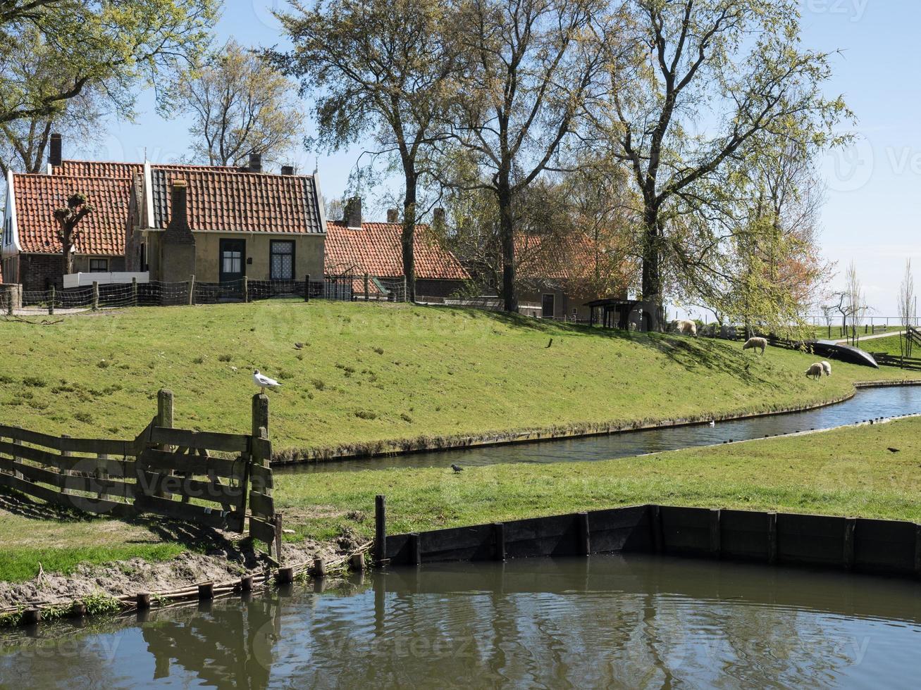 la ciudad holandesa de enkhuizen foto