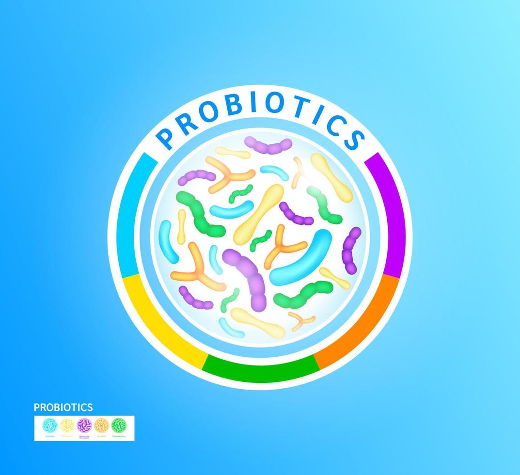 Probiotics lactic acid bacterium in milk, yogurt. Label Bifidobacterium, lactobacillus, streptococcus thermophilus, lactococcus, propionibacterium. Digestion healthcare concept. Vector EPS10.