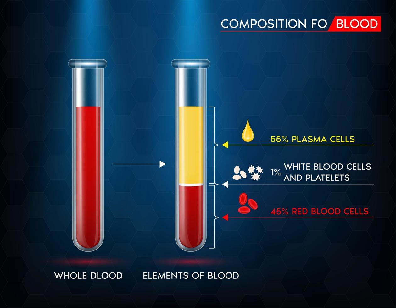 elementos de glóbulos rojos, plasma, sangre blanca y plaquetas en un tubo de vidrio. concepto de estructura de ciencia médica. realista con ilustración vectorial 3d. vector