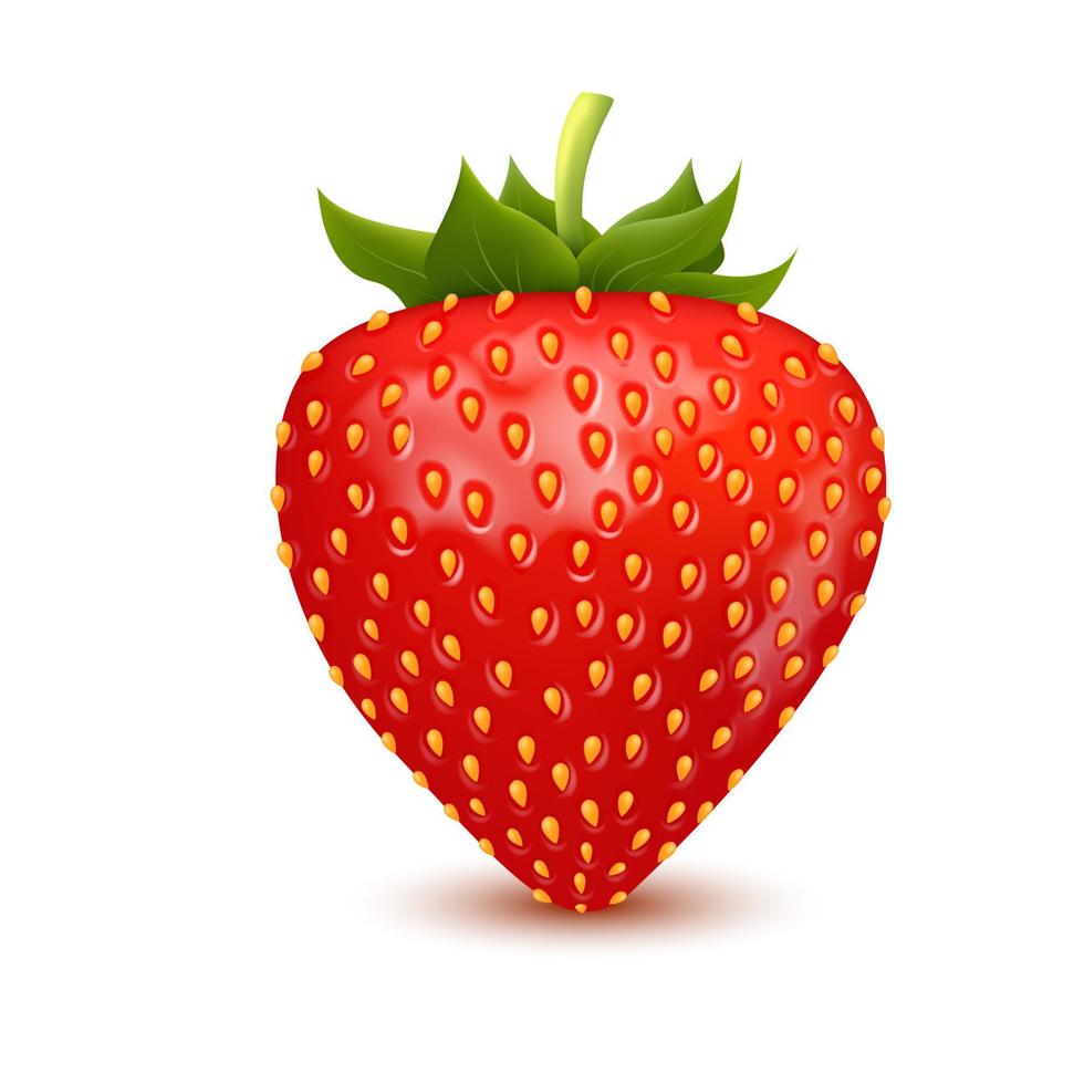 conjunto de fresas frescas realistas con hojas, fruta cortada por la mitad, fruta sin su cáliz, aislada en fondo blanco. Ilustración vectorial 3d. se puede utilizar en su propio diseño, apariencia. vector