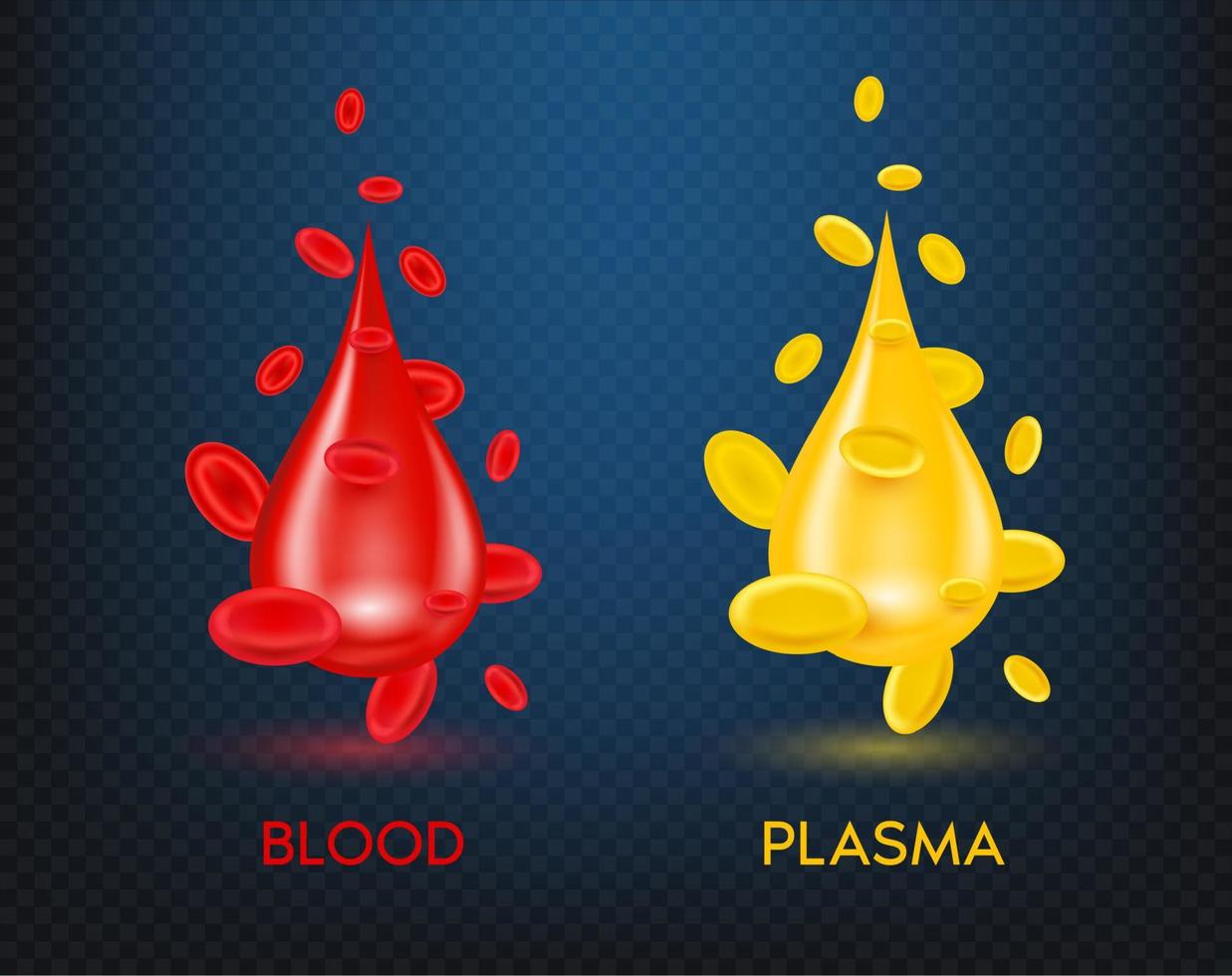 concepto de estructura de ciencia médica de sangre roja y plasma amarillo. glóbulo y sus componentes plasma realista con ilustración vectorial 3d. sobre un fondo translúcido. vector