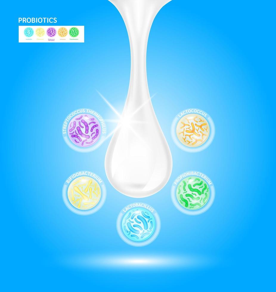 Probiotics lactic acid bacterium in milk, yogurt. Bifidobacterium, lactobacillus, streptococcus thermophilus, lactococcus, propionibacterium. Digestion healthcare concept. Vector EPS10.