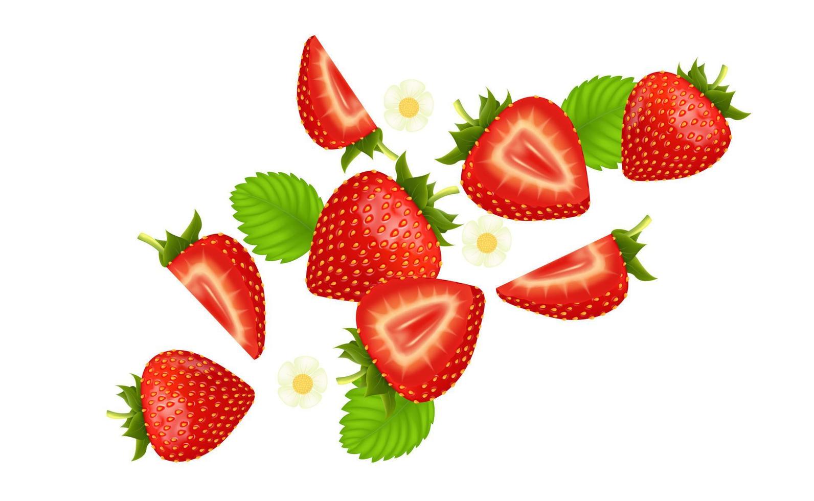 Fresh strawberry fruits flying and leaves with strawberries of pieces element in the middle on white background. Realistic 3D vector illustration.