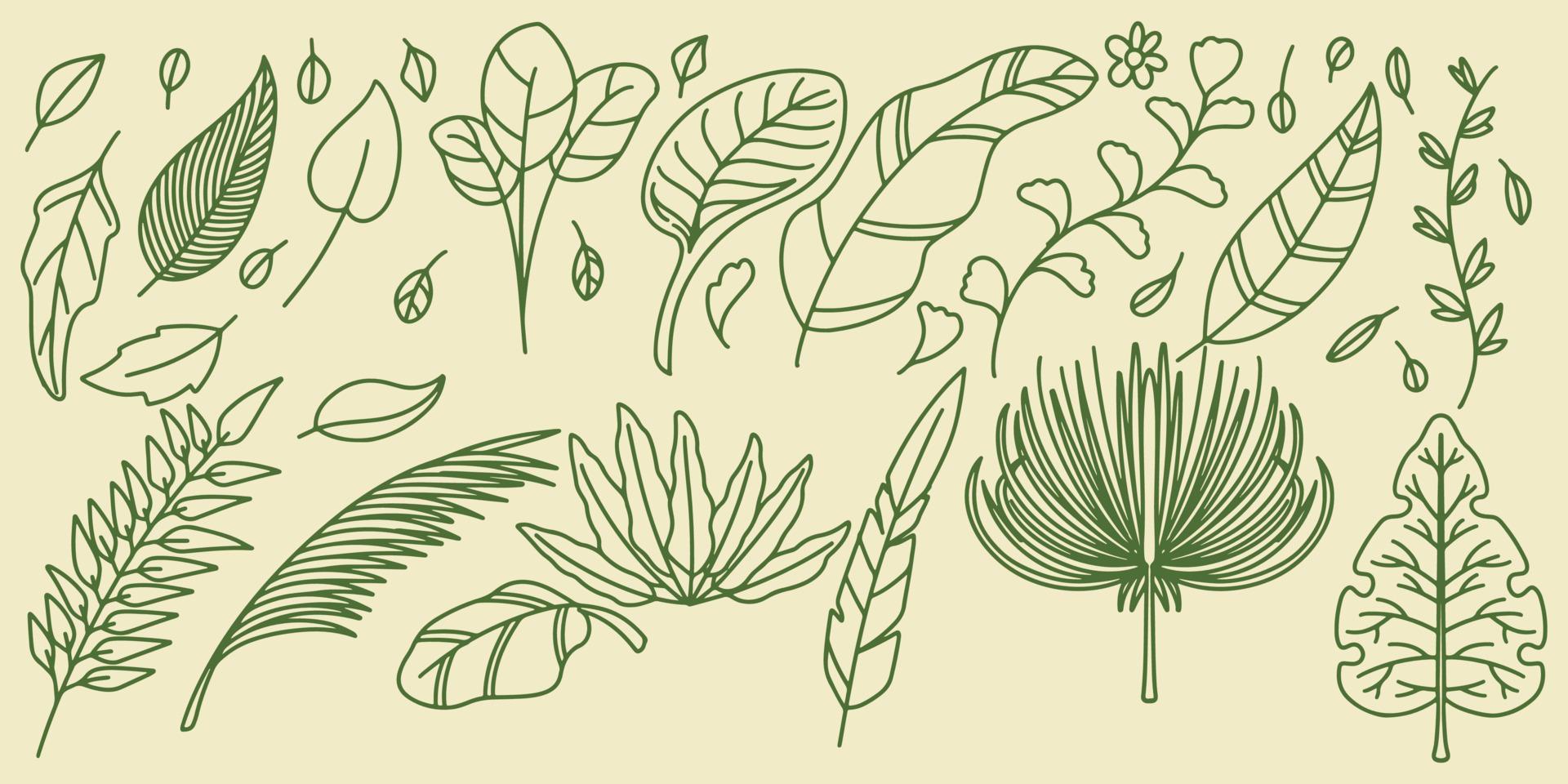 Sixteen Hand drawing set floral botanical fern forest elements vector