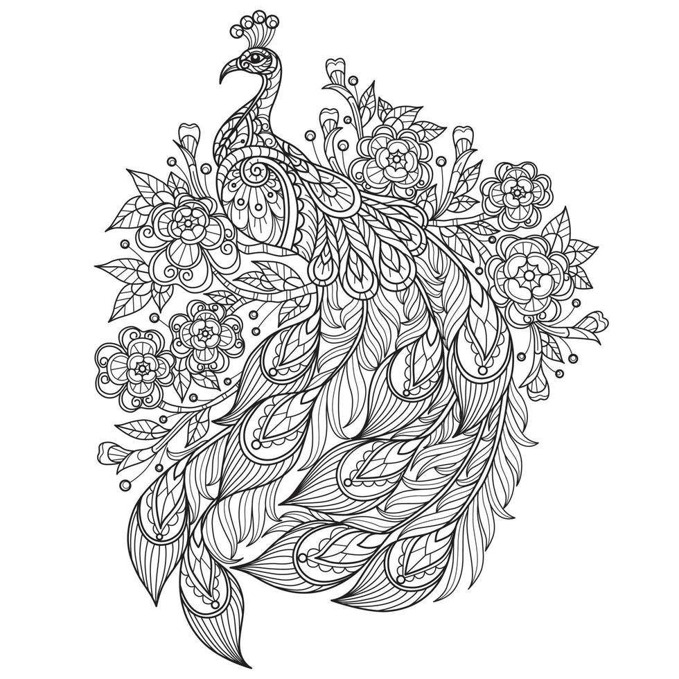 Peacock and flower hand drawn for adult coloring book vector